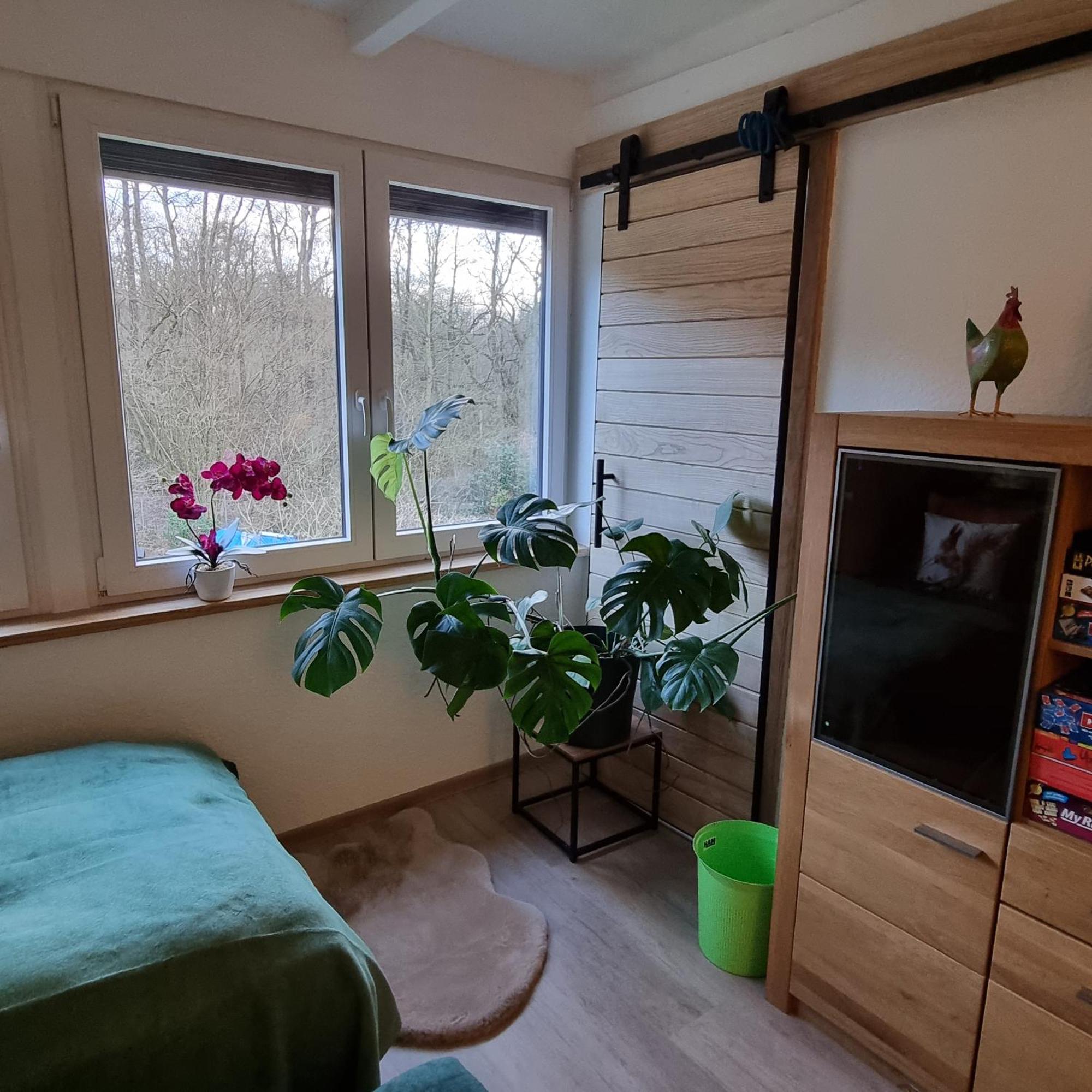 Exklusive Ferienwohnung Hattorfer Teiche Вольфсбург Номер фото